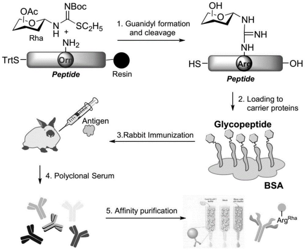 苏博特获得发明专利授权：“一种基于rGO气凝胶负载过渡金属碳化物的吸波涂料及其制备方法与应用”
