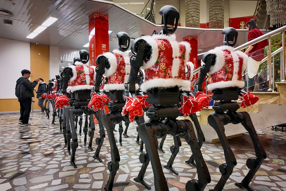 图集丨直击“2025世界机器人大会”：是帮手也是玩伴 人形机器人密集上新