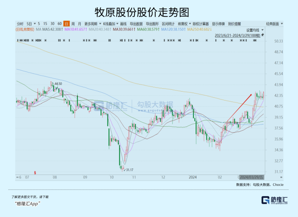 正邦科技：7月销售生猪收入7.41亿元 同比上升91.38%