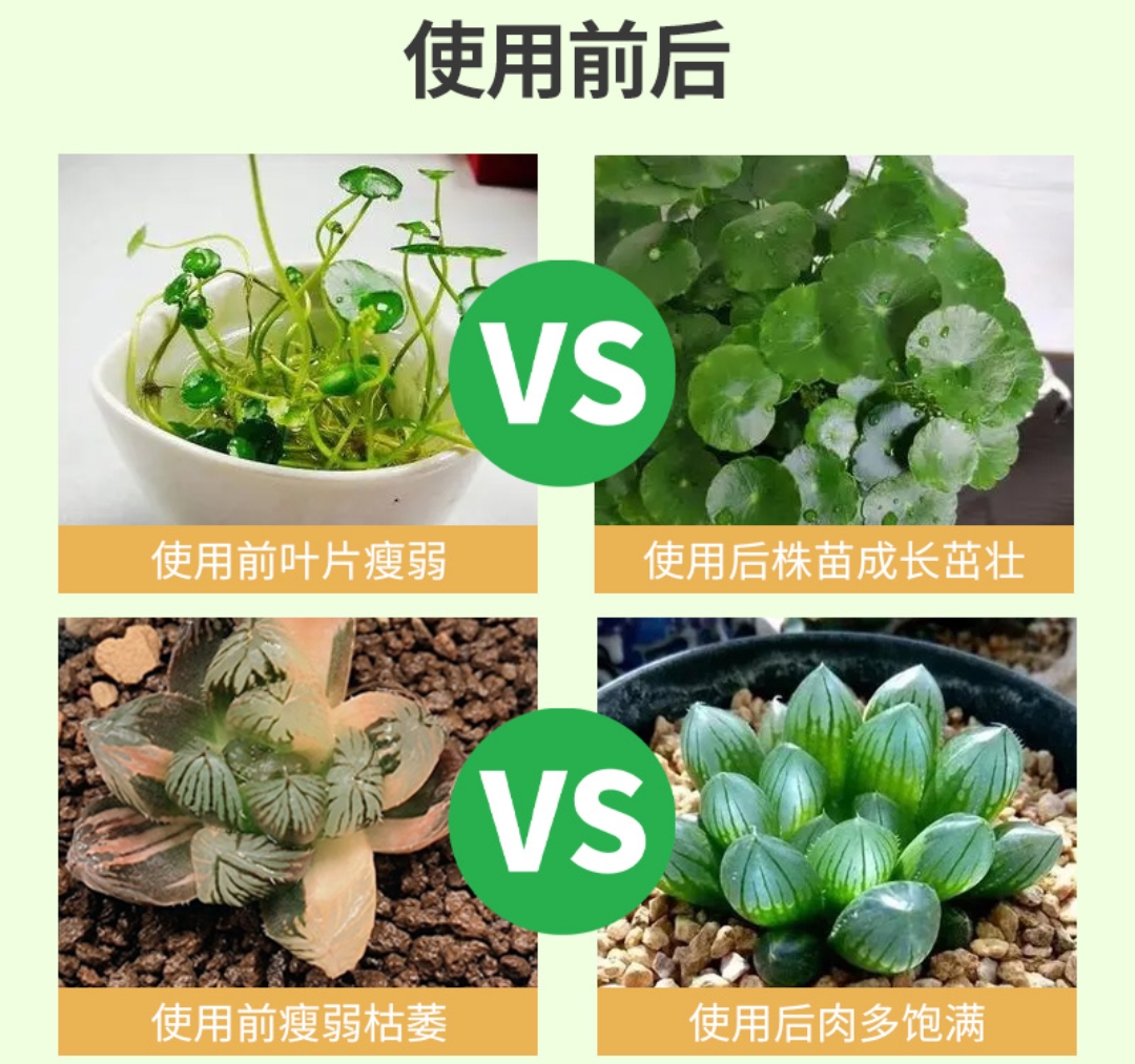 2025植物营养液市场规模及区域格局、未来发展趋势分析_人保服务 ,人保财险政银保 