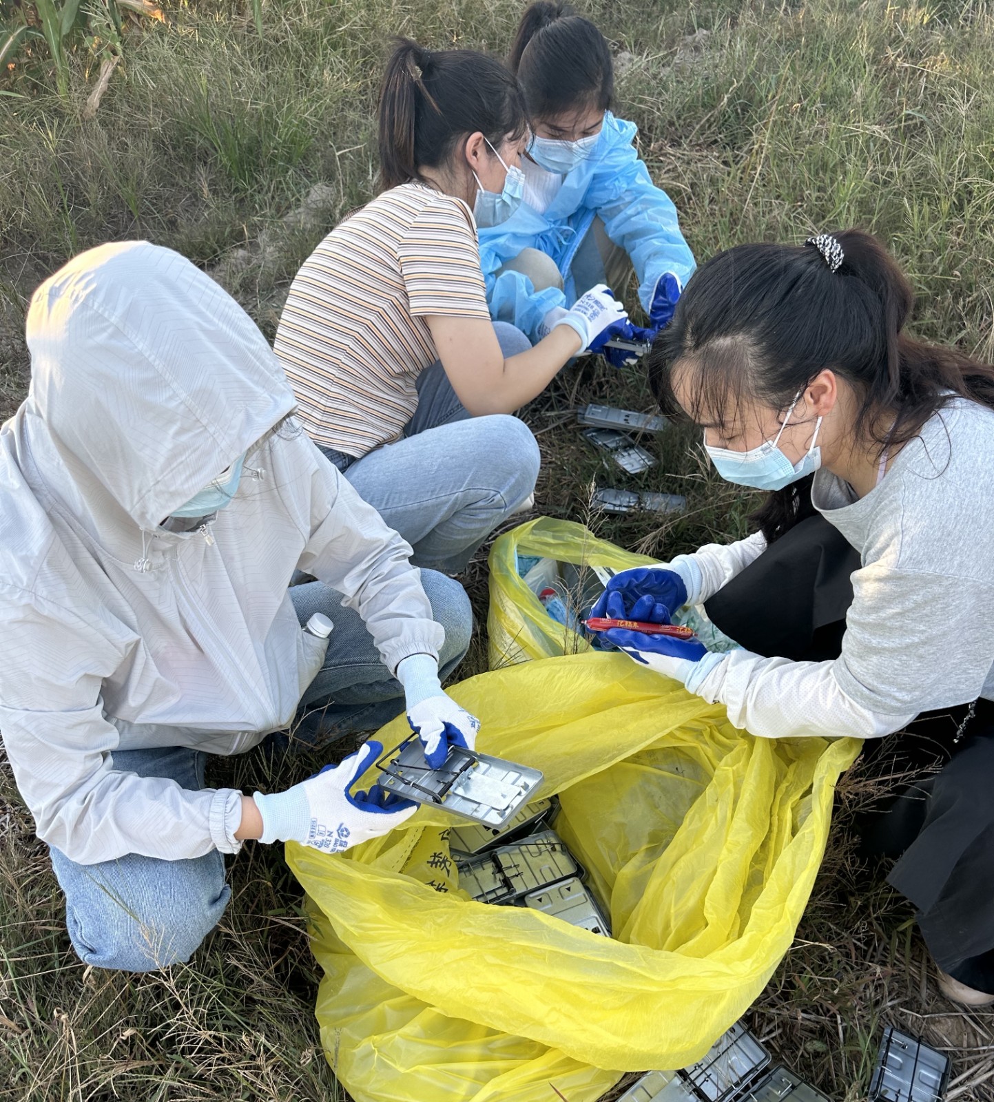 研究发现一种血吸虫能够关闭人体部分免疫“警报”