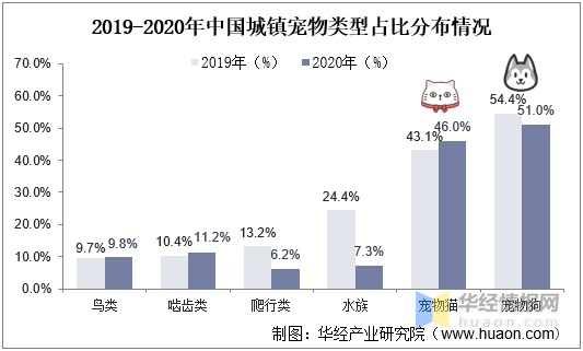 保险有温度,人保服务_2025年中国宠物培训行业：宠物数量增长与消费升级，驱动市场扩张
