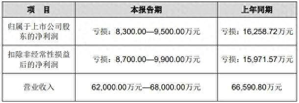 *ST海华(600243)2025年中报简析:亏损收窄,盈利能力上升