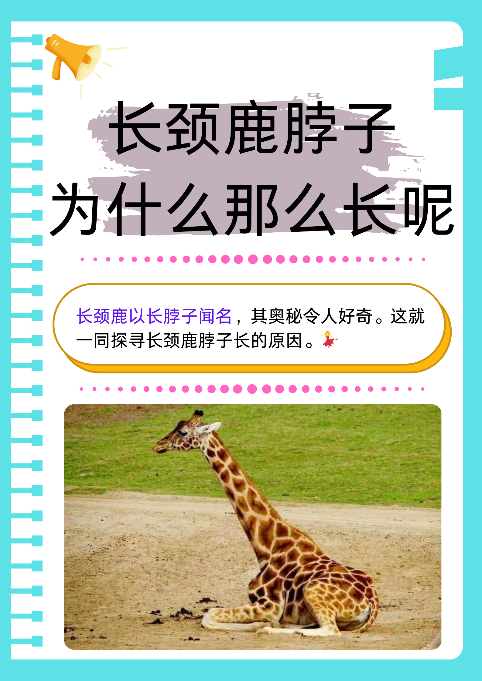 世界自然保护联盟确认长颈鹿有4个种