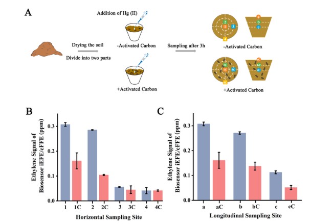可孚医疗获得发明专利授权:“一种生物传感器电极及其制备方法和在电化学检测ALT的生物传感器中的应用”