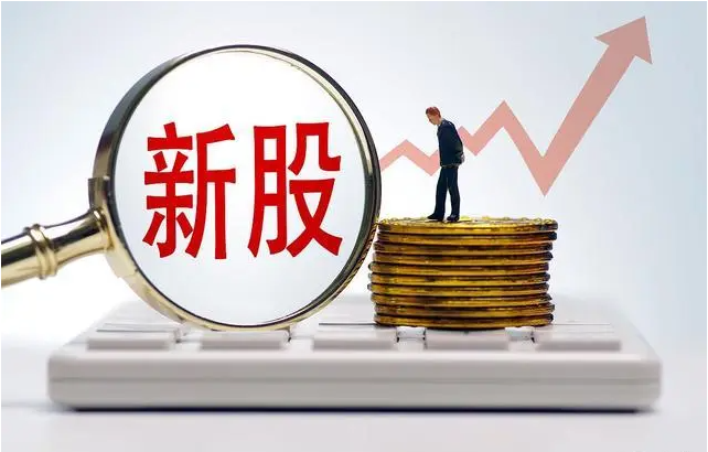宣泰医药（688247）2025年中报简析：增收不增利