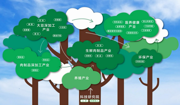 三部门发文部署 金融支持林业高质量发展