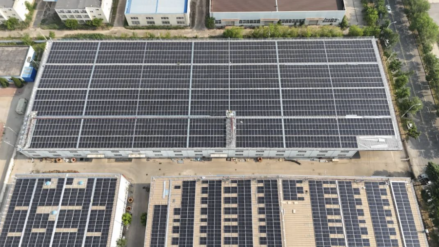 主业规模效益双增长 浙农股份上半年增长23.16%