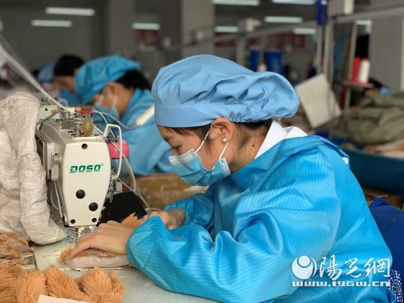 义乌老板“离家出海” 离客户再近一点