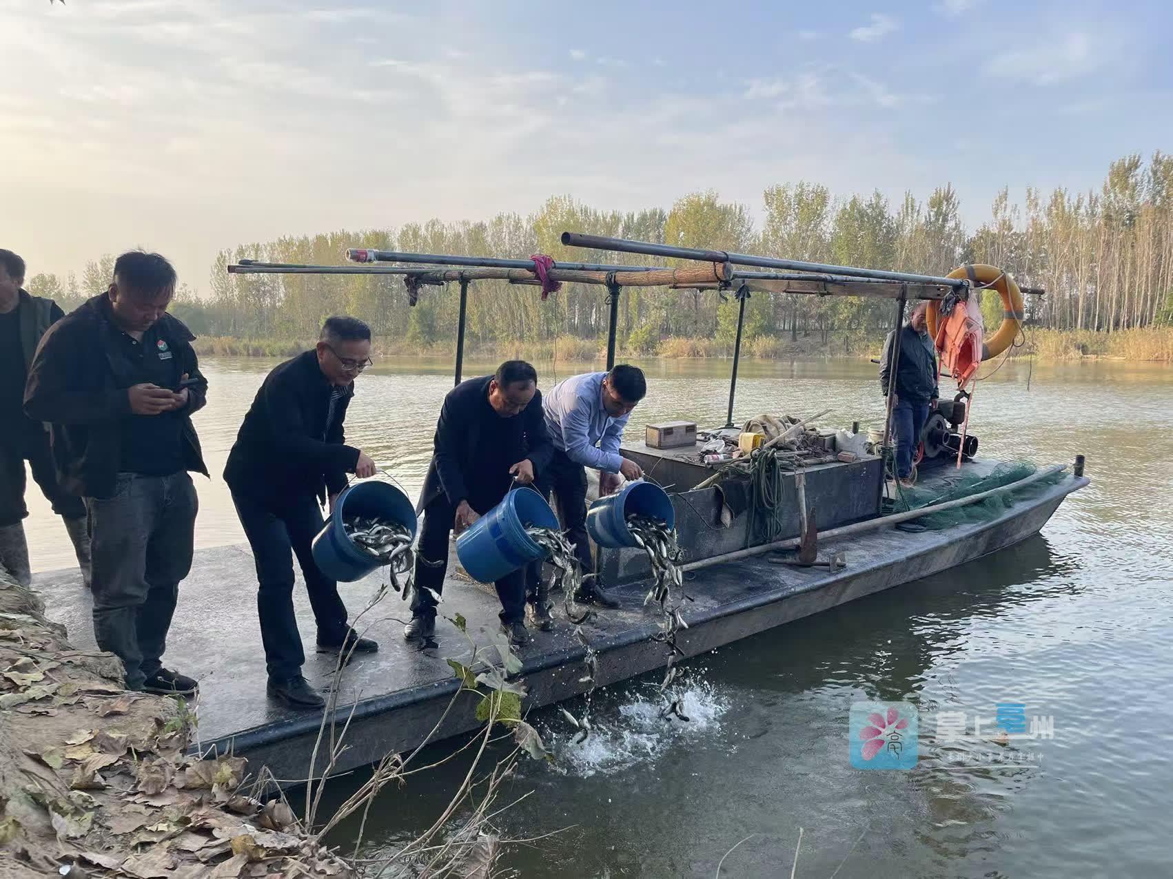 “蜜都”饶河:433万尾鱼苗放流中俄界江乌苏里江