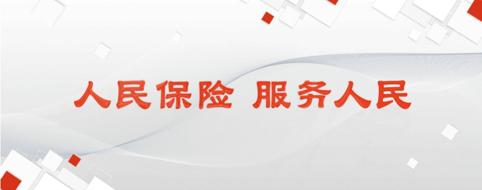 保险有温度,人保服务 _2025-2030中国数据资产平台投资指南:垂直深耕、技术突围与生态为王