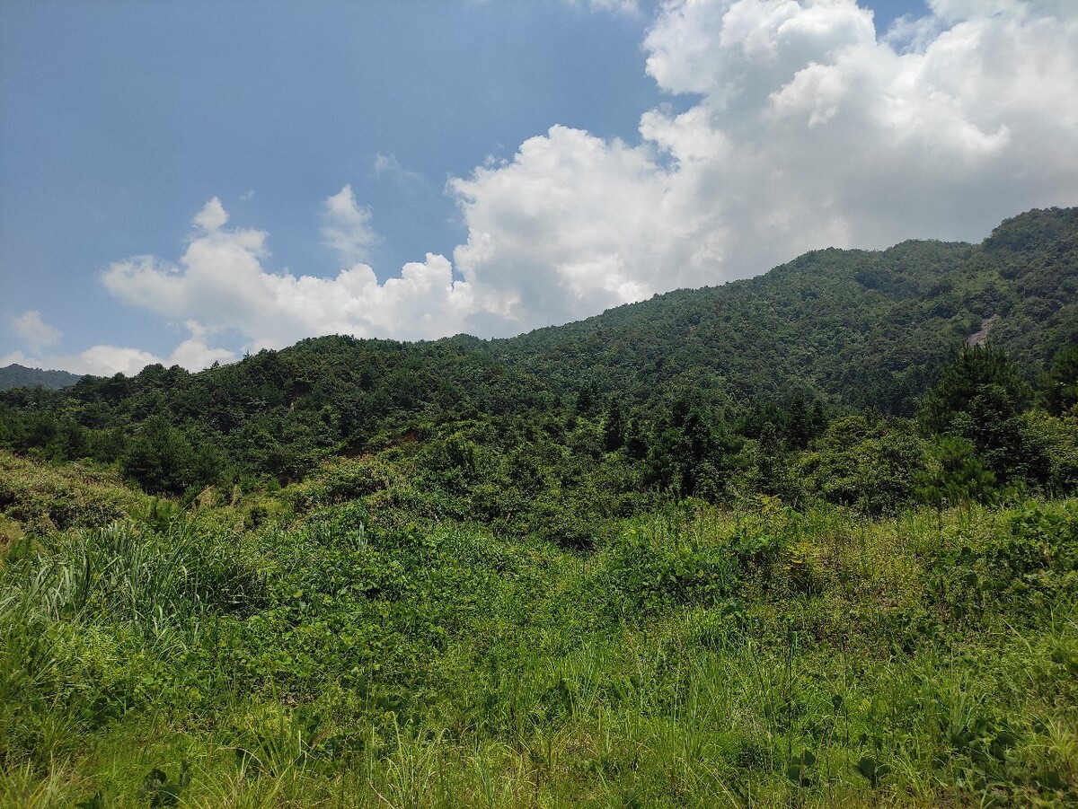 岩山科技:上述消息为不实信息