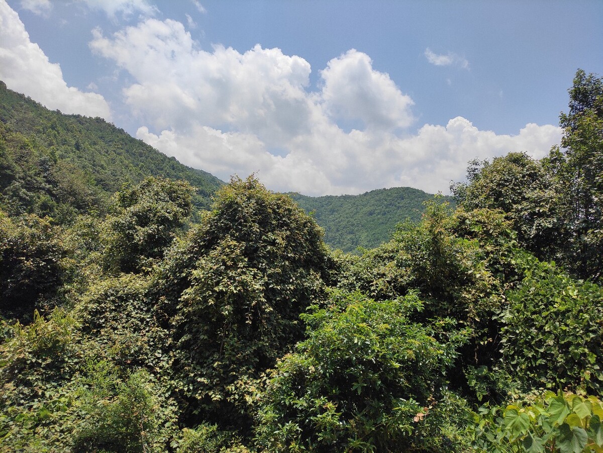 岩山科技:上述消息为不实信息