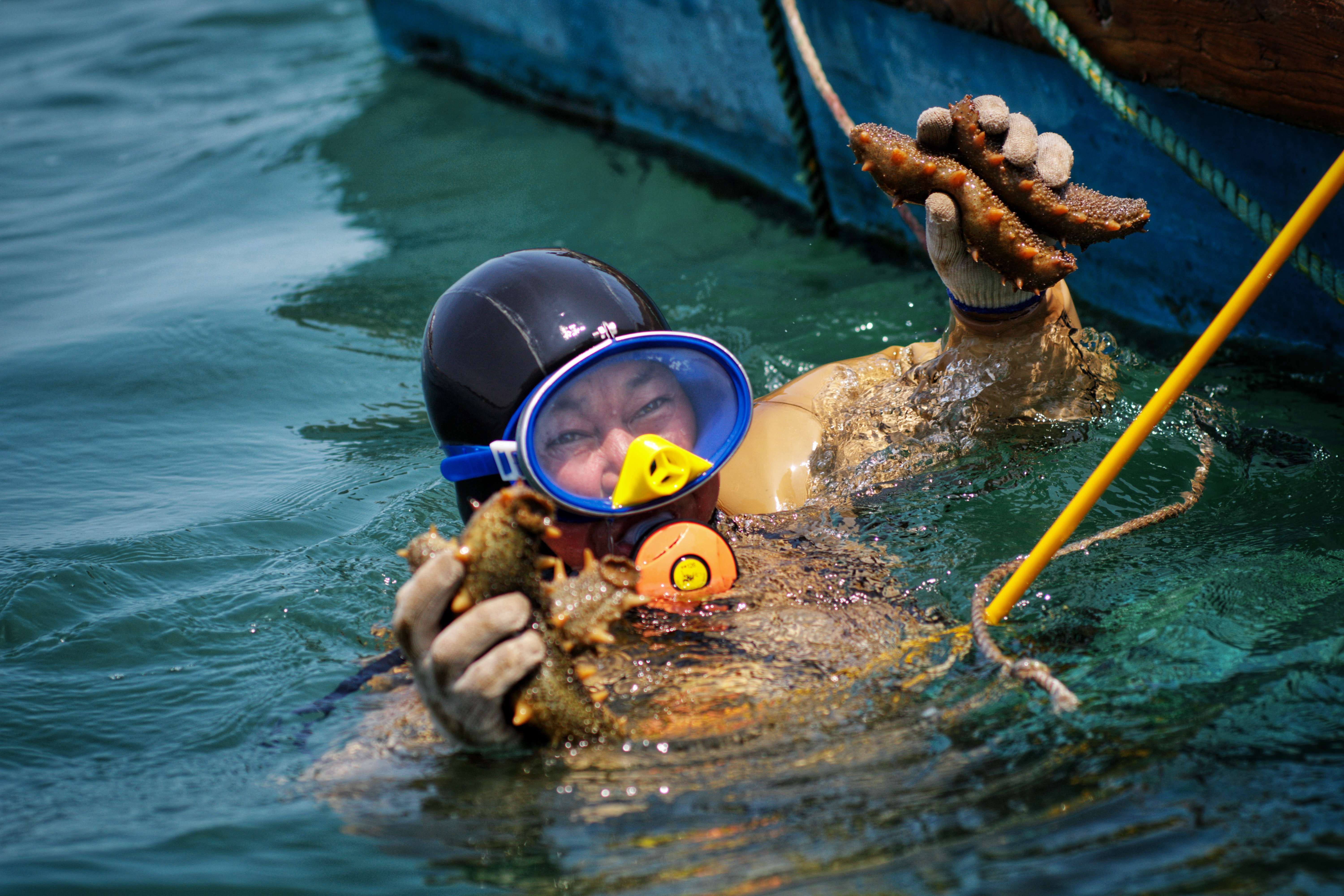 刘振民:海洋与气候治理协同 共同保护滨海生态