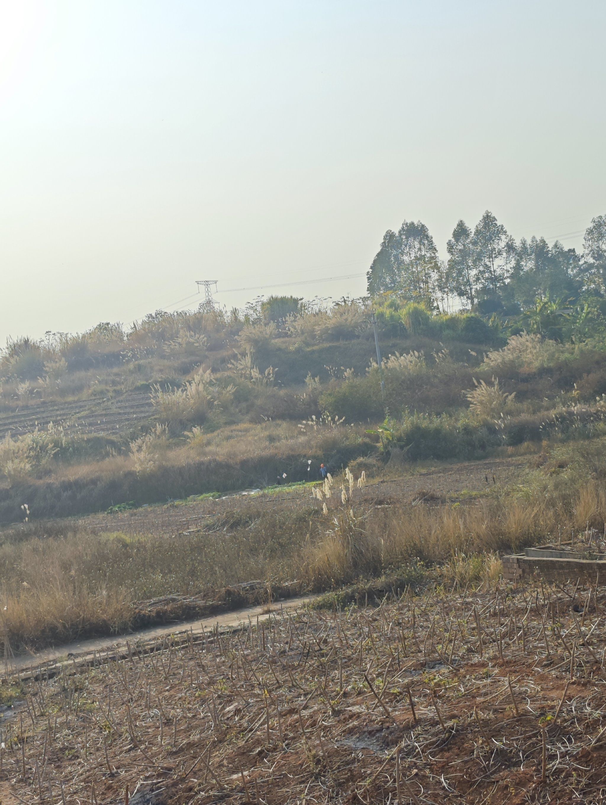 全地形车市场迎来“颠覆者”，重新定义高端越野体验