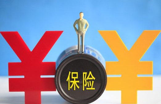 2025年补钙品行业未来发展趋势及产业调研报告_人保财险 ,人保护你周全
