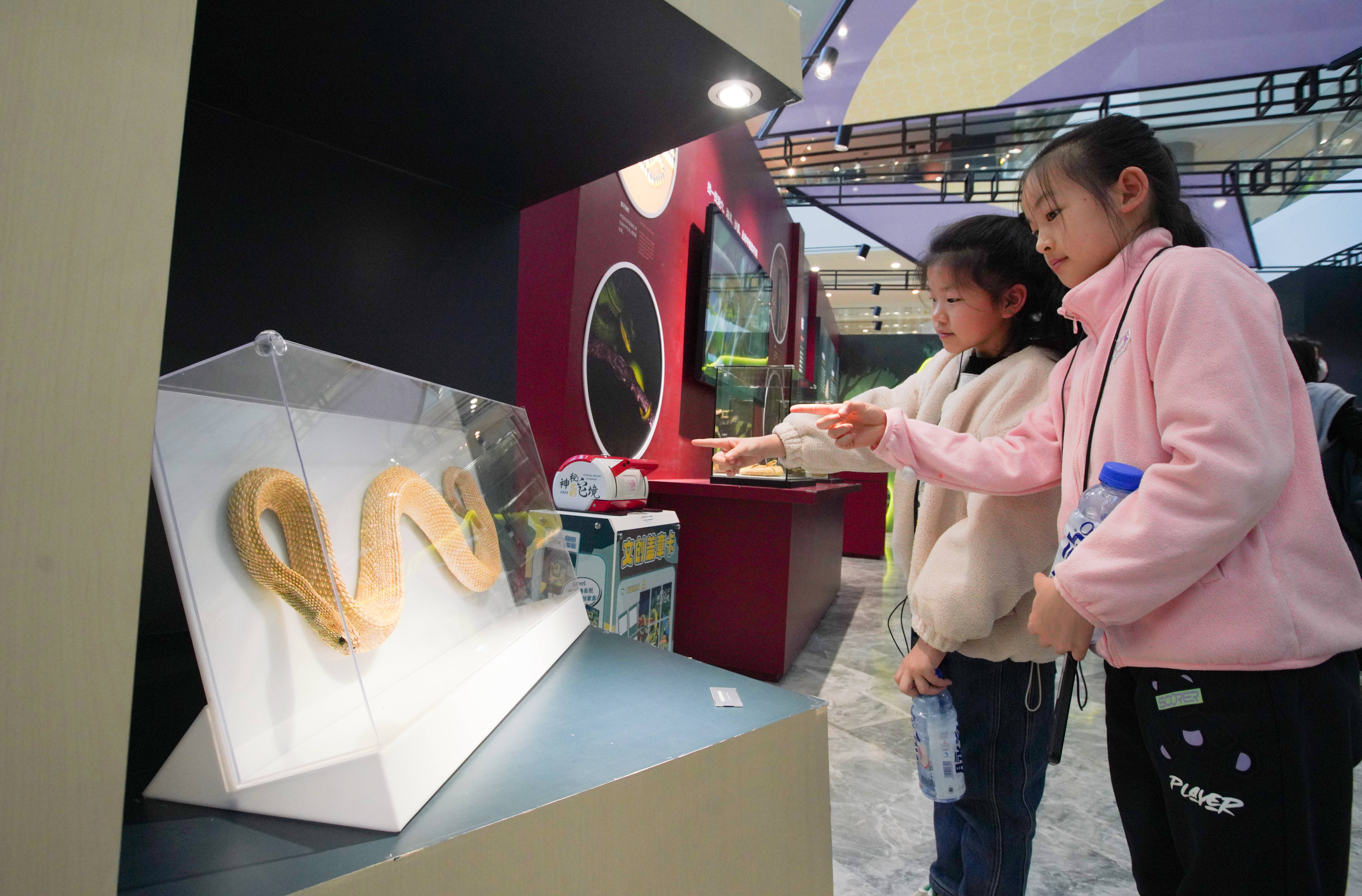 迎国庆中秋假期 中国科技馆打造推出贯通古今融合创新“科普盛宴”