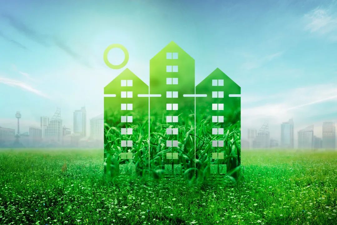 2025中国针织帽行业：个性化与可持续发展_人保财险 ,人保护你周全