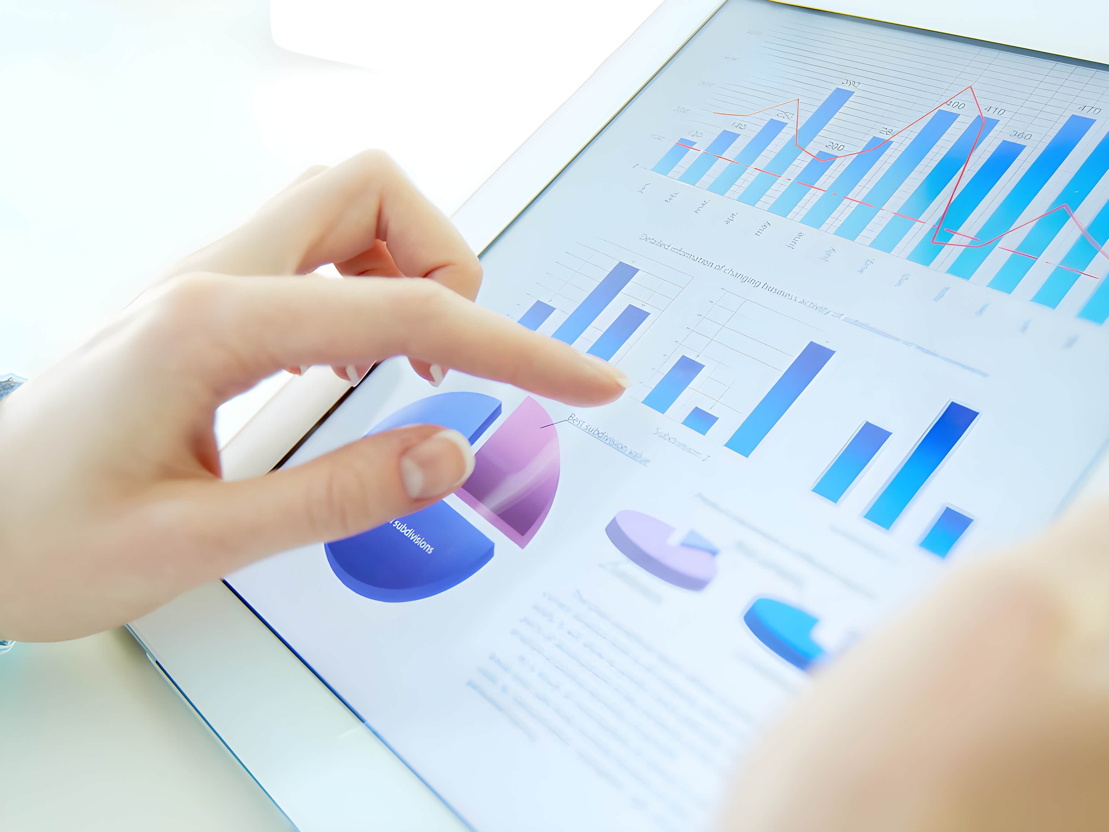 2025年杏鲍菇行业市场分析及产业投资报告_人保服务,人保财险 