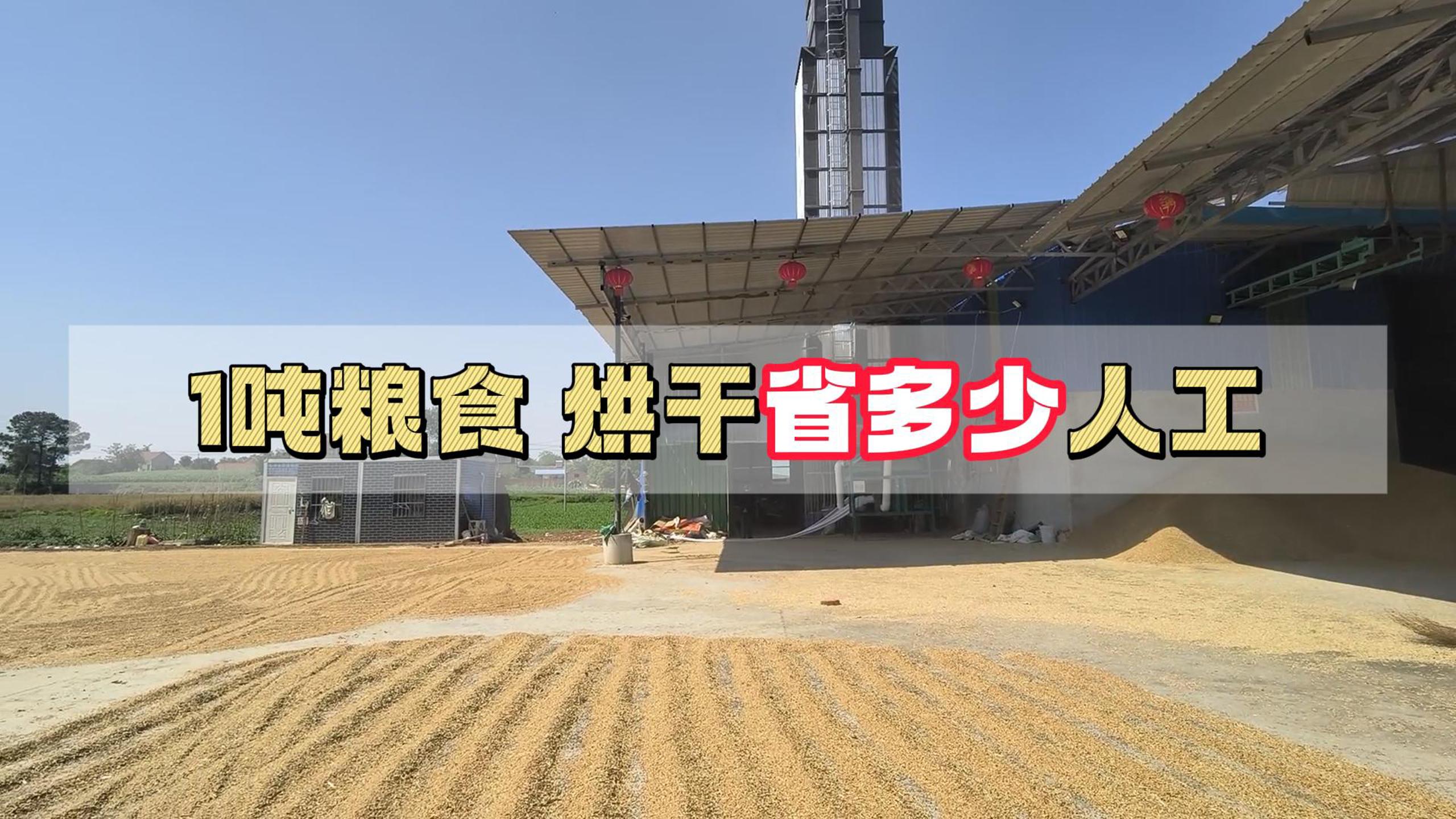 两部门下达4.84亿元 支持7省受灾地区秋粮抢收抢烘