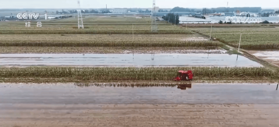 两部门下达4.84亿元 支持7省受灾地区秋粮抢收抢烘