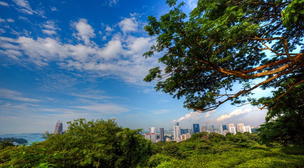 波长光电：新加坡全资子公司在马来西亚设立全资子公司并完成登记