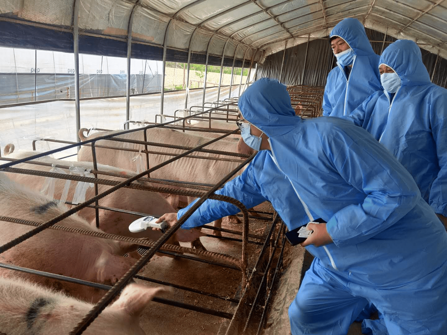 2025充气床垫行业：销售渠道正在发生深刻变化_人保财险政银保 ,人保有温度