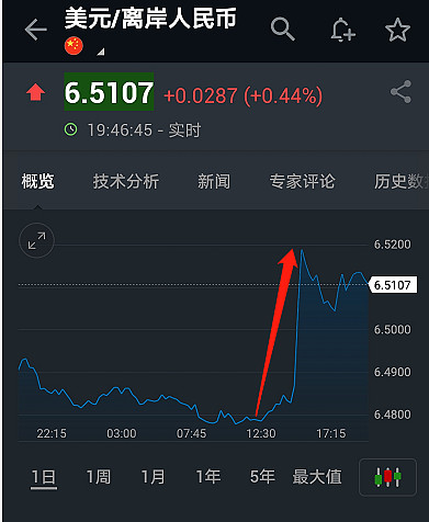 大跳水！突发警告：“黑天鹅”！