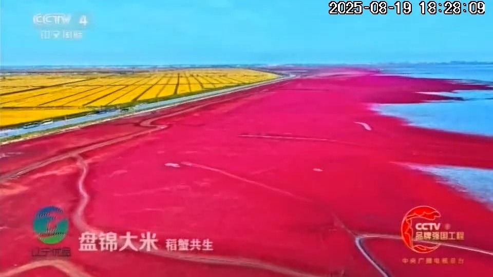 “辽宁优品”北京推介会举办 推动产品向品牌转变
