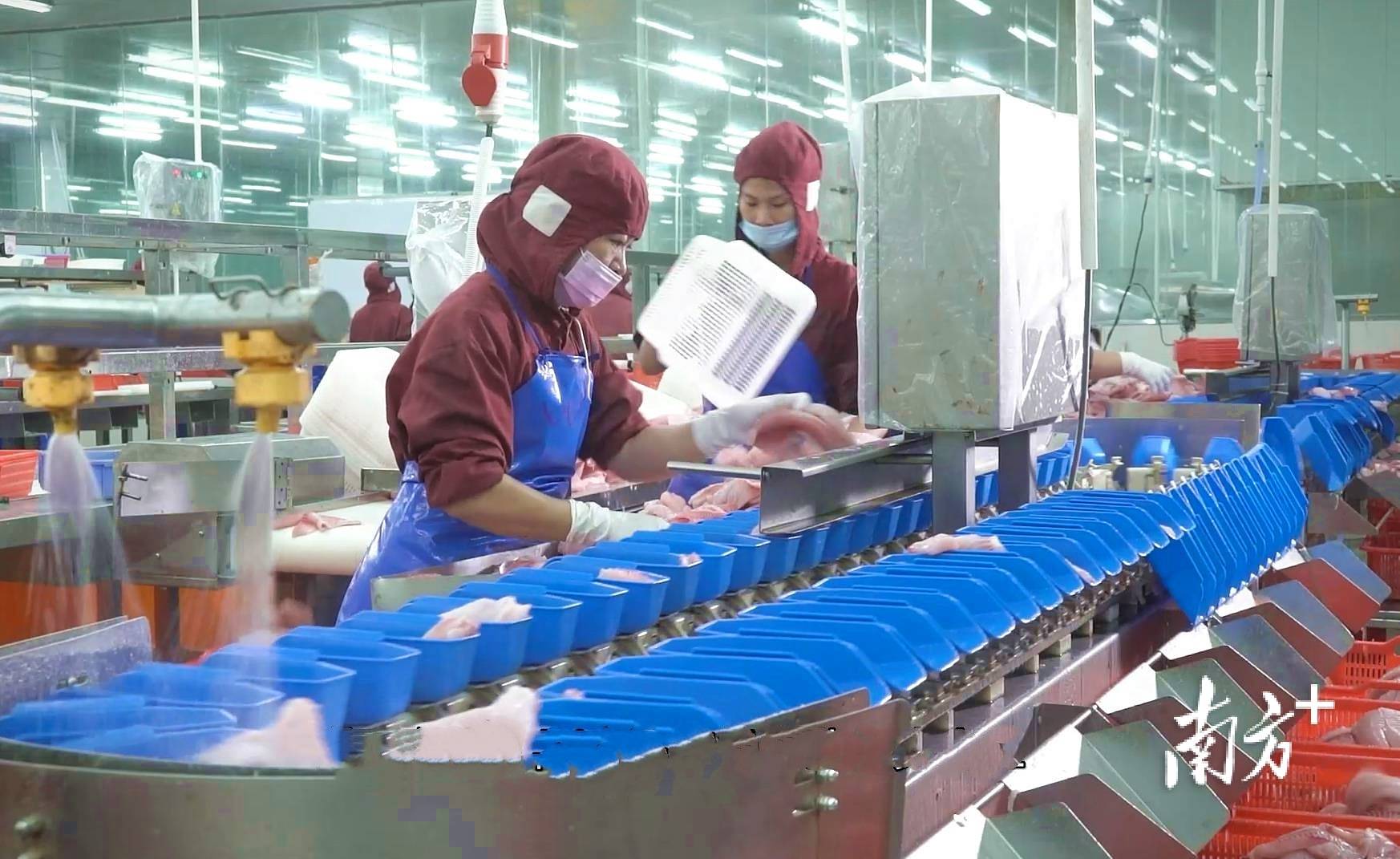 人保车险   品牌优势——快速了解燃油汽车车险,人保车险_罗非鱼行业现状与发展趋势分析