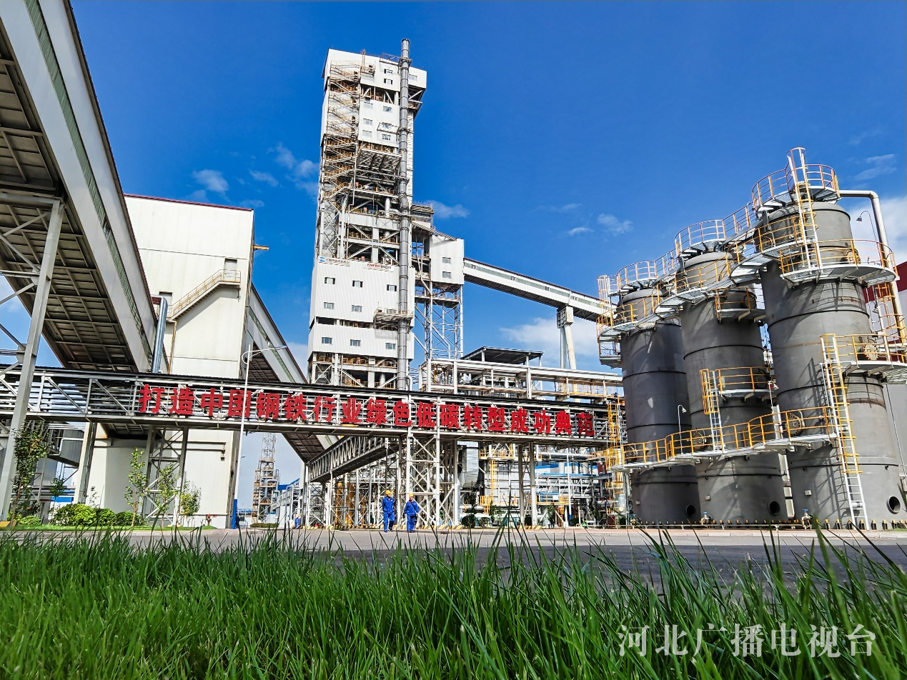 河钢股份：部分董事和高管变动