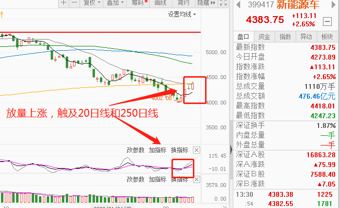 突然跳水!超20万人爆仓!