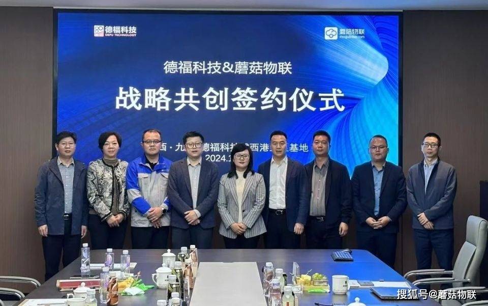 德福科技:公司自主研发的3um超薄载体铜箔等已批量稳定供货