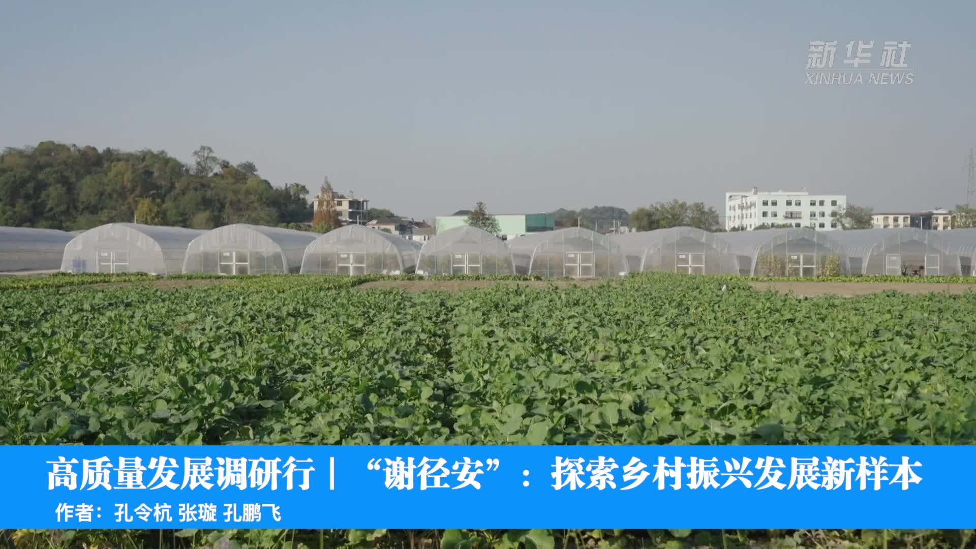 （活力中国调研行）产业旺、服务暖、文旅兴 江苏淮安大福村绘就乡村振兴新图景