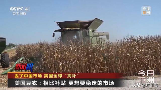 刘伟重掌巨人网络帅印，能否打破全球化困局？