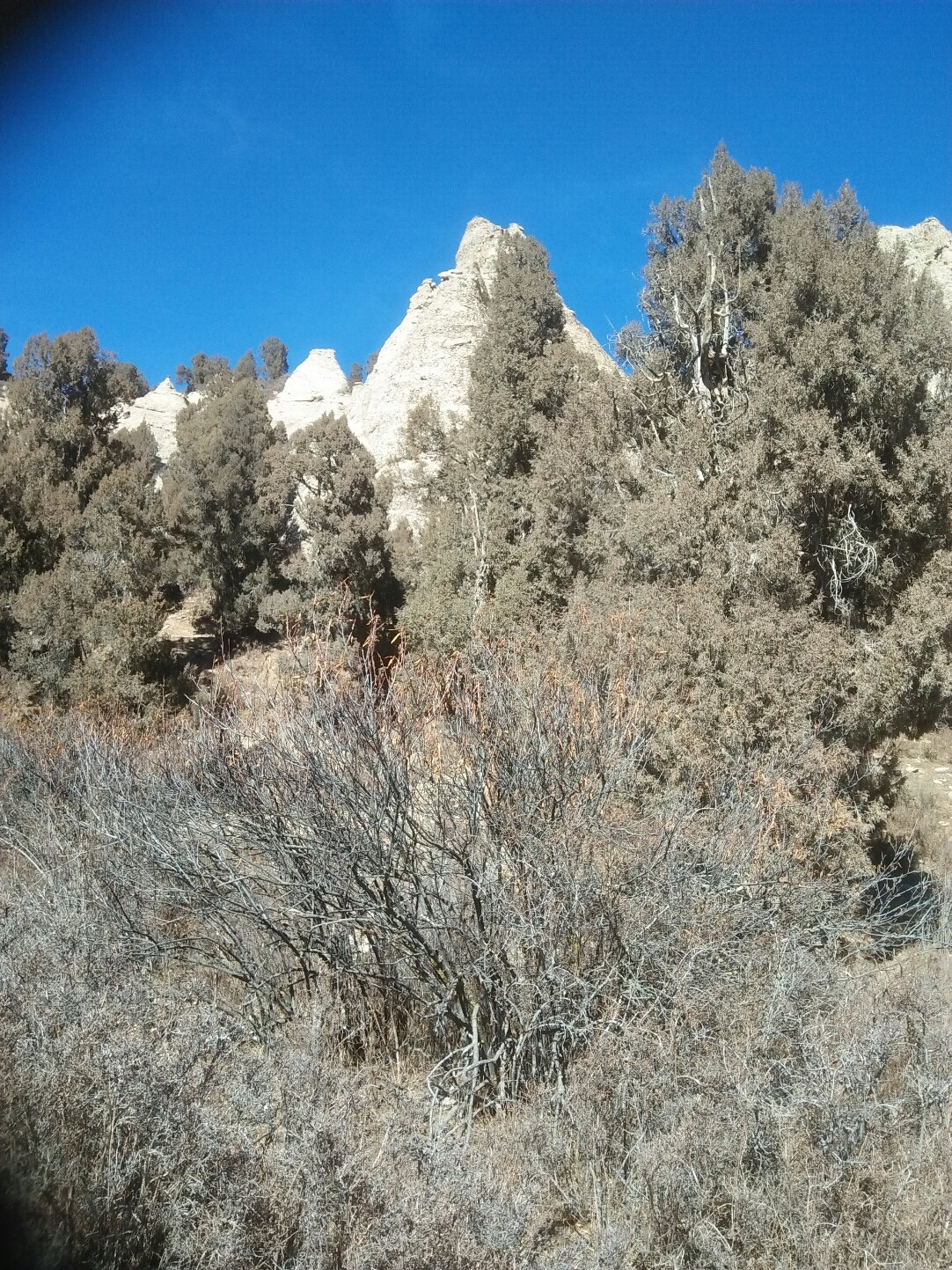 青海互助县一乡镇公路刚通车就多处坑洼?官方通报