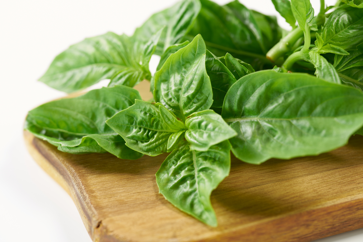 冠中生态获得发明专利授权：“一种用于团粒喷播植被恢复的种子层喷制方法”