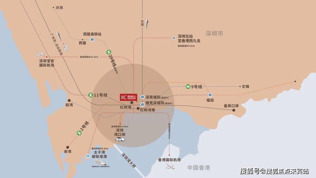 深城交等成立低空运营服务公司,含AI业务