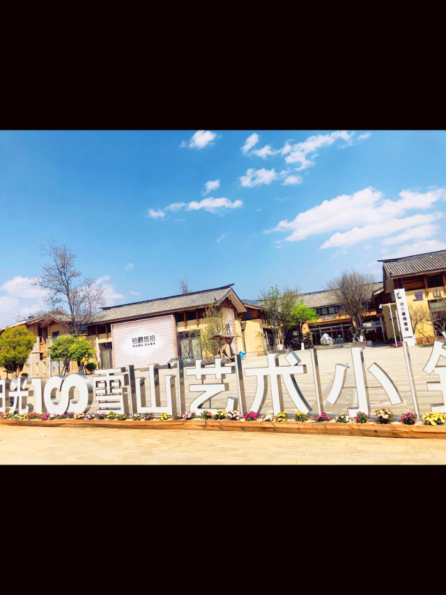 李亚鹏参投的雪山艺术小镇项目公司,被大股东申请破产