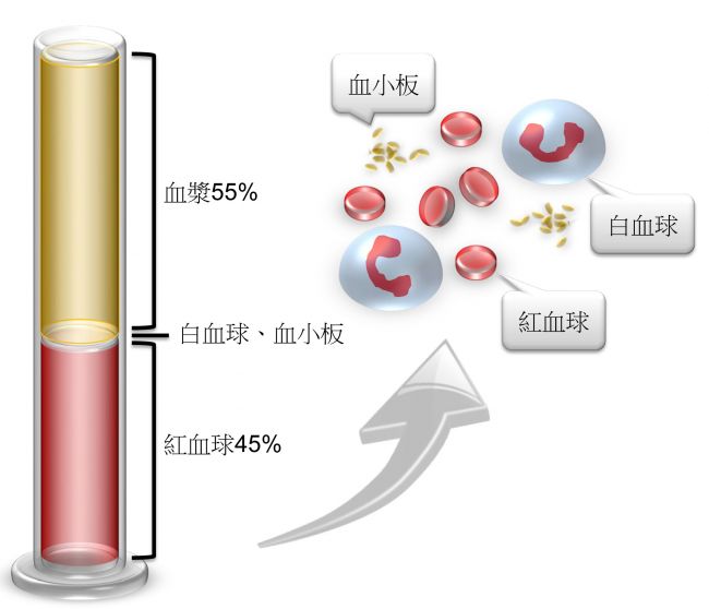 华兰股份：2000万元增资科迈生物，以AI创新药研发培育第二增长曲线