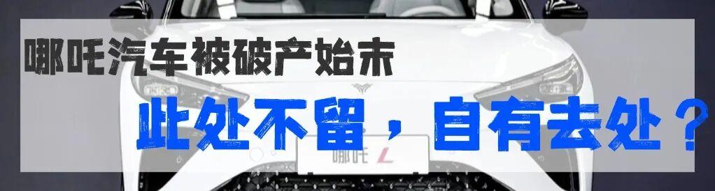 网点老板讲述“史上最无感双11”:快递少了吗?技术上位、人力退场 ,行业驶向AI与全球化新战场