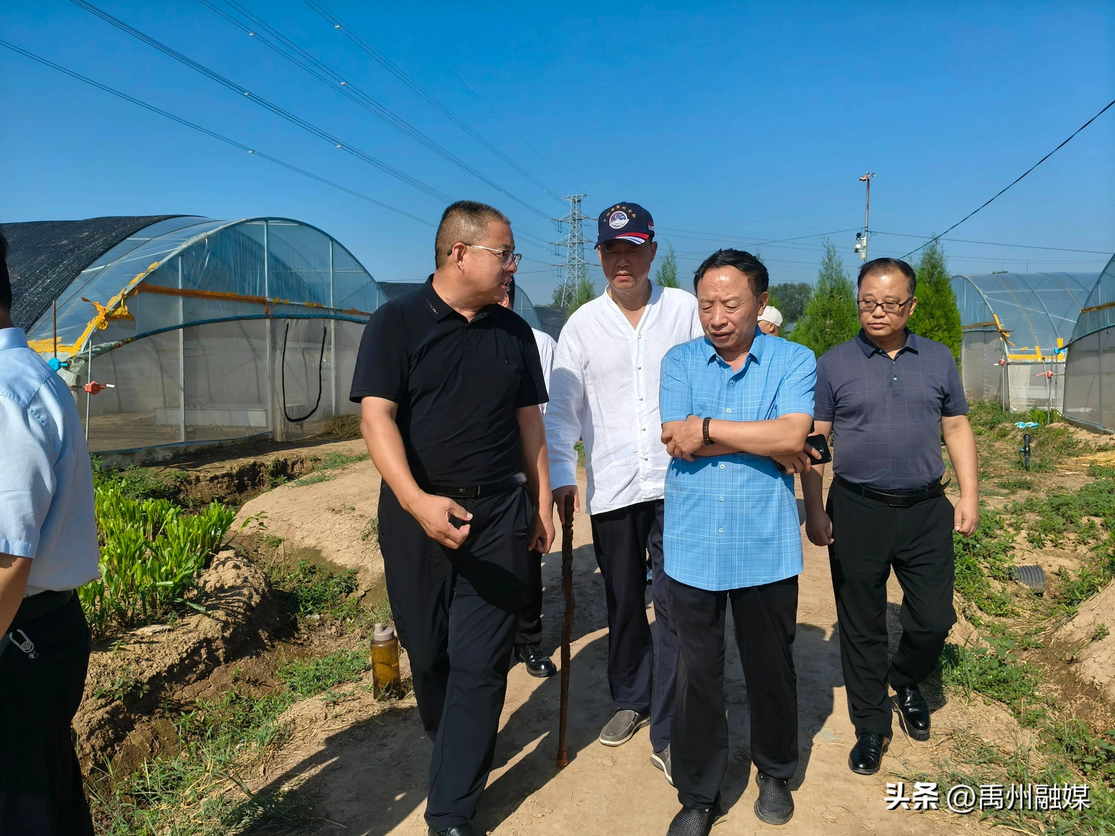 (乡村行・看振兴)山西长治潞城区:红薯“链”动增收 助力乡村发展