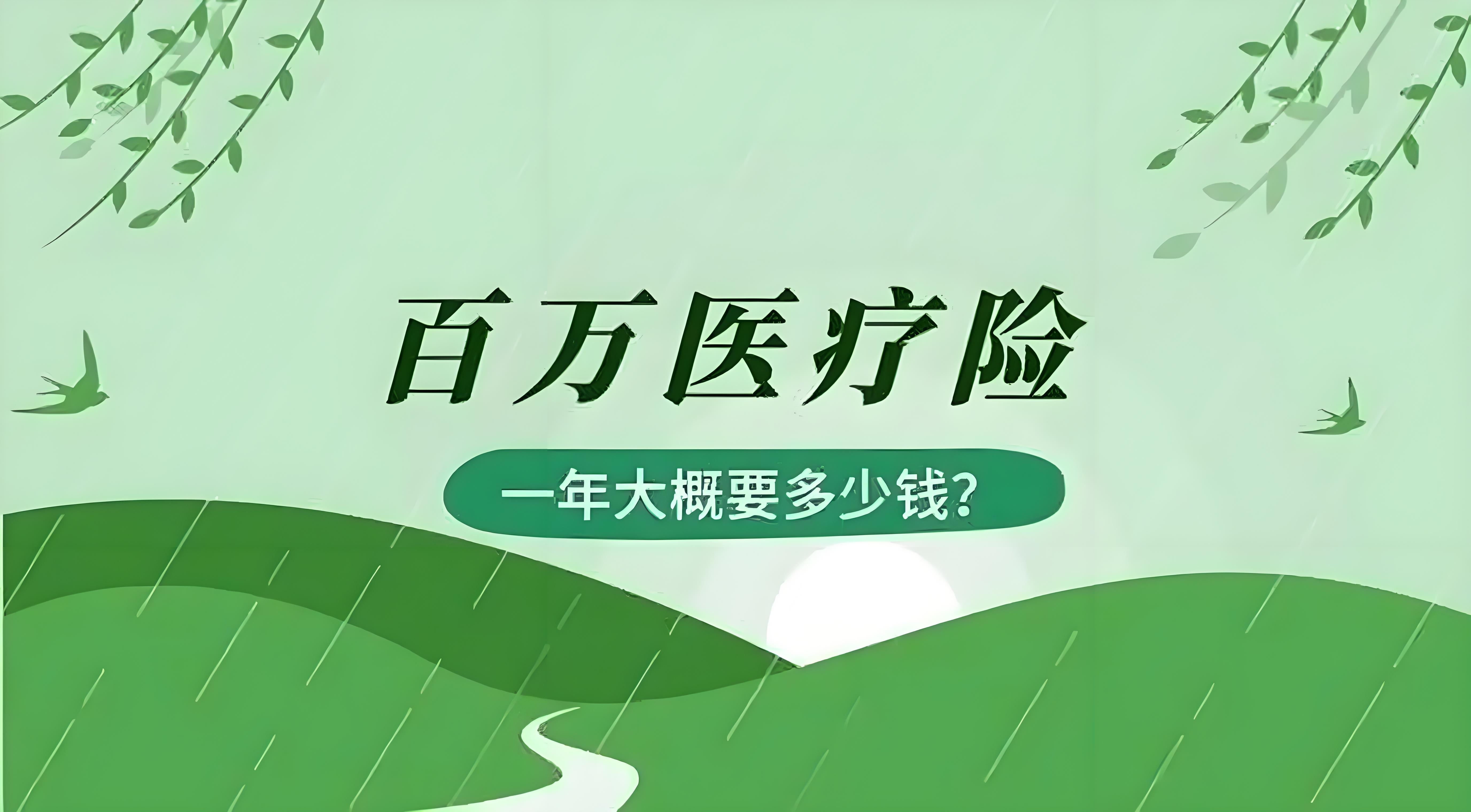 2025中国智慧医疗行业:科技重塑医疗生态_人保车险,人保财险政银保