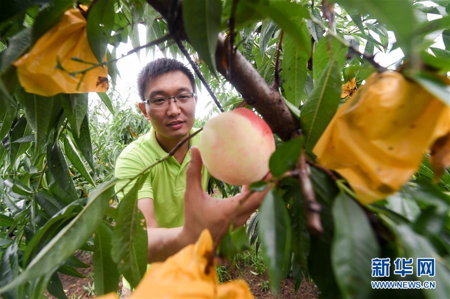 广西柳城县“甜蜜事业”开榨