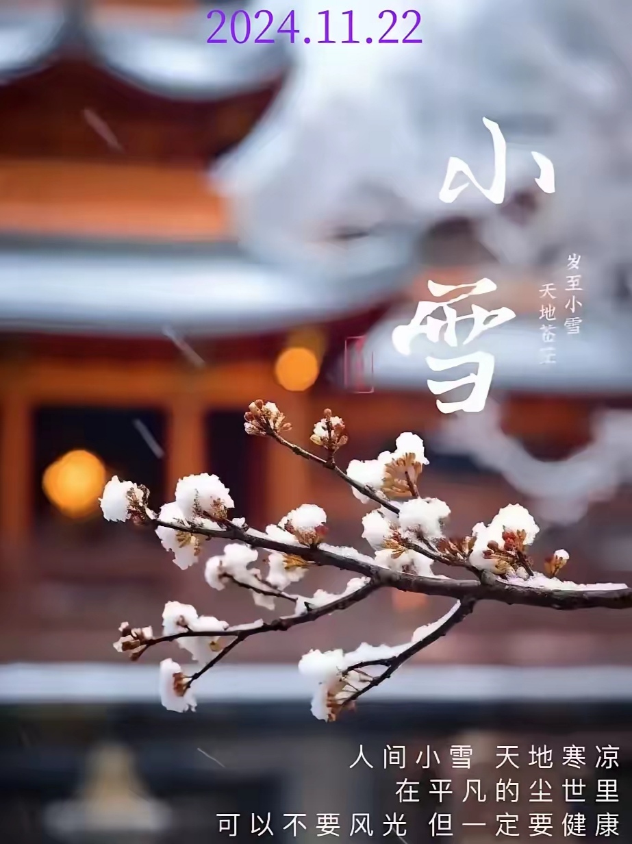 图说节令丨岁月沉香，邂逅小雪节气的诗情画意