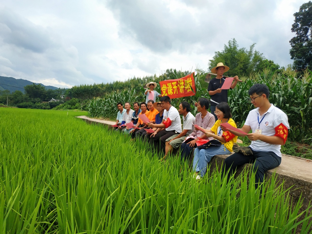 从纸面评审到田间实效，拼多多以赛事革新激活科技兴农实战力
