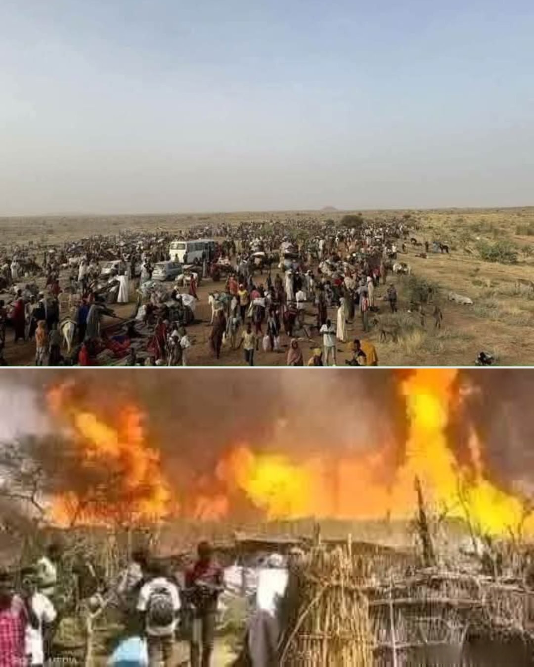 苏丹准军事组织快速支援部队宣布停火3个月