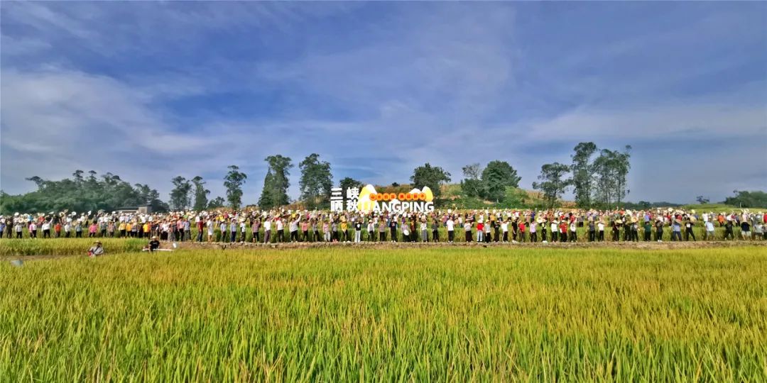 第八届长江三峡（梁平）柚产业发展大会开幕 梁平柚香飘四海