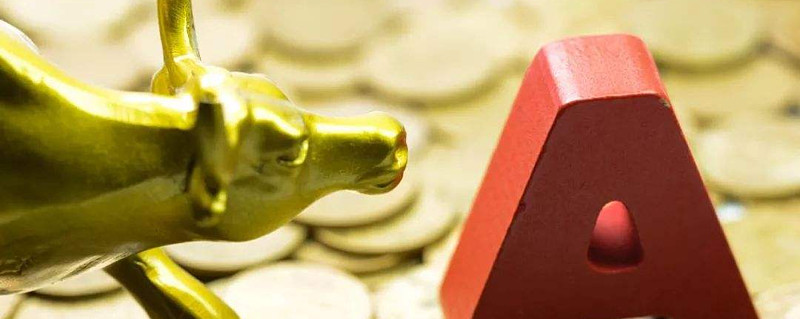 科创板活跃股排行榜（11月26日）