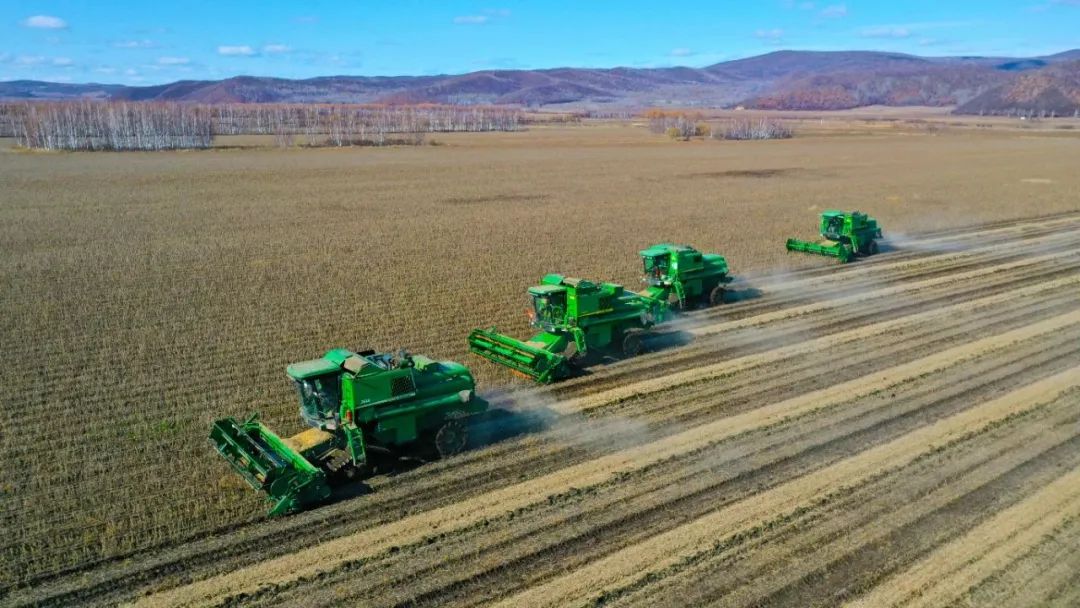 黄河内蒙古河段出现本年度首封 较上年偏早10天